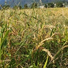 Herbstausflug19_2019-10-04_10-52-19.jpg