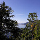 Herbstausflug19_2019-10-05_10-47-52.jpg