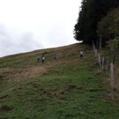 IMG_20190928_160140.JPG