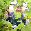 2019-10-09-buergermeister-ludwig-bei-weinlese-im-kleinsten-weingarten-der-stadt-2.jpg