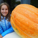 K__rbis Altach _3_.JPG