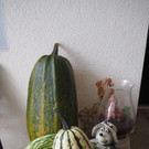 K__rbis Altach _14_.JPG