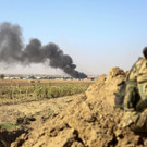 AFP_1LC8QG.jpg
