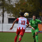 D72_8637-2.jpg