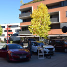 DSC_0040.JPG