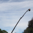 PA125220.JPG