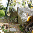 DSCI2689.JPG
