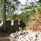 DSCI2691.JPG
