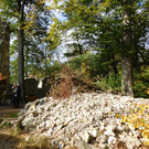 DSCI2692.JPG
