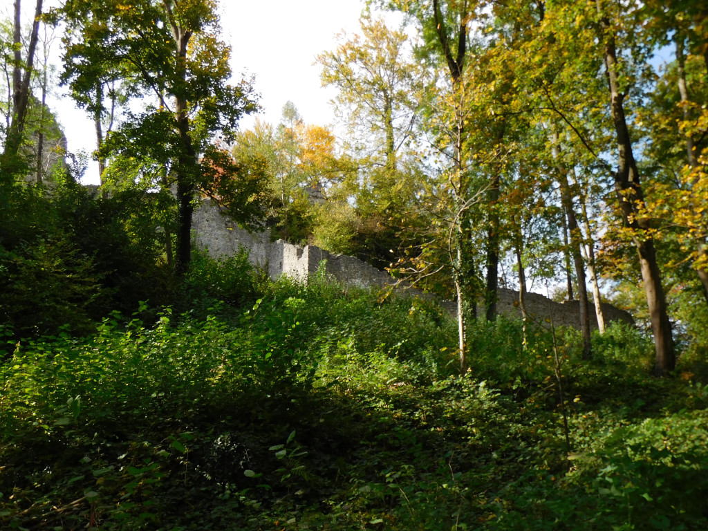 DSCI2695.JPG