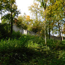 DSCI2695.JPG