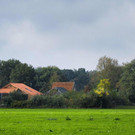 ABD0119-20191016.jpg