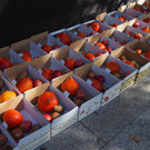 PA124958.JPG