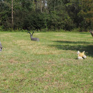 PA124990.JPG