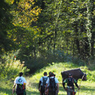 PA125018.JPG