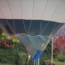 IMG_8609_jiw.jpg