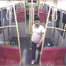 p22010-foto1.jpg