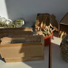 p12010-foto1.jpg