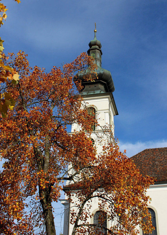 Kartoffeltag PFARRE Missionskreis 20-10-2019 _24_.JPG