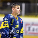 file77maja0zzf4chns41mv.jpg