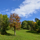 Goldener Oktober