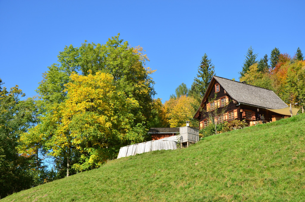 Natur 141019_5.JPG