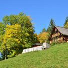 Natur 141019_5.JPG