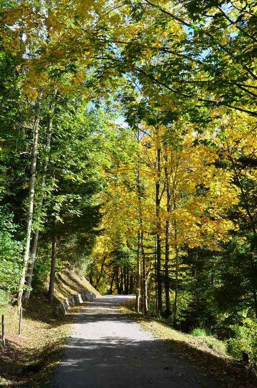 Natur 141019_6.JPG