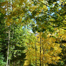 Natur 141019_6.JPG