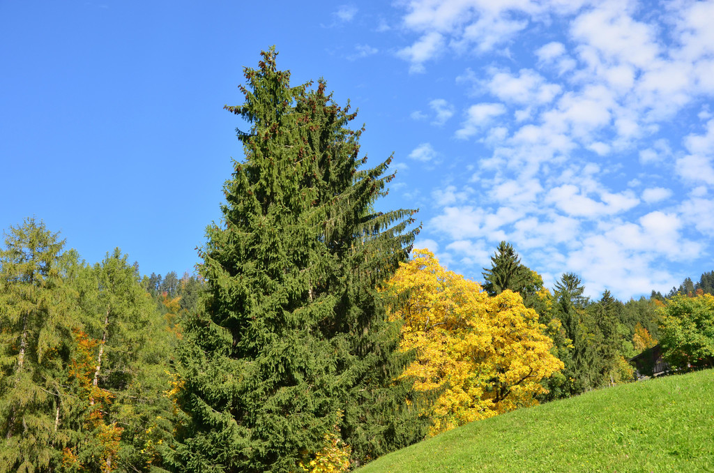 Natur 141019_10.JPG