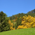 Natur 141019_11.JPG