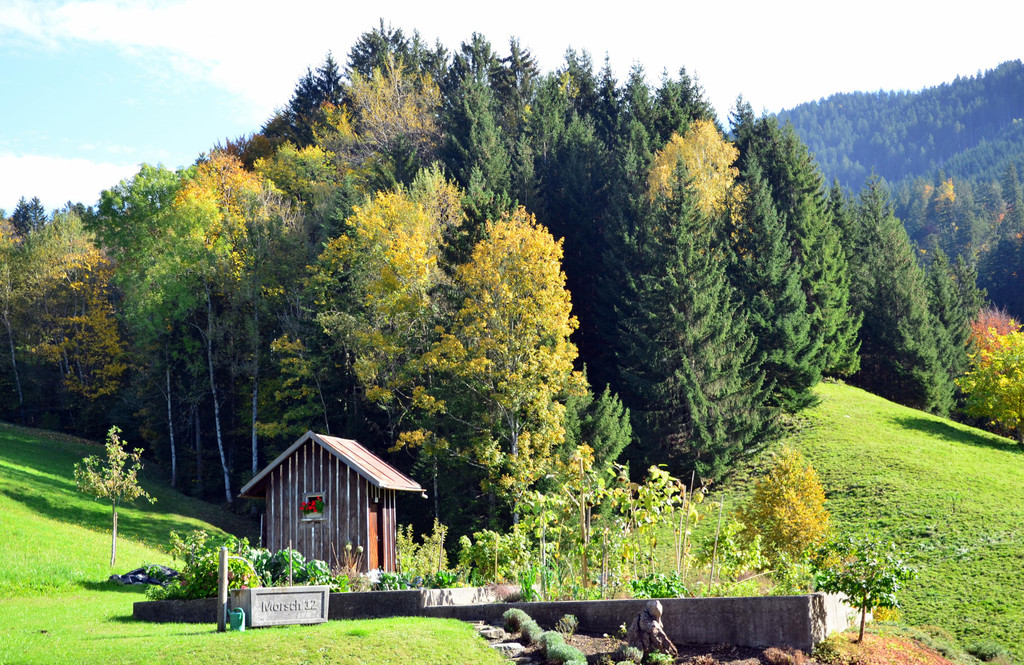 Natur 141019_12.JPG