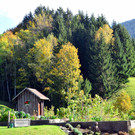 Natur 141019_12.JPG