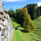 Natur 141019_13.JPG