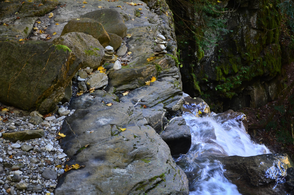 Natur 141019_16.JPG