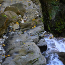 Natur 141019_16.JPG