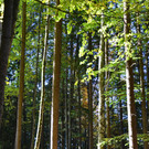 Natur 141019_18.JPG