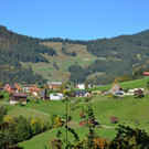 Natur 141019_20.JPG