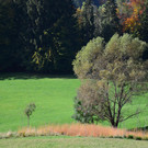 Natur 141019_23.JPG