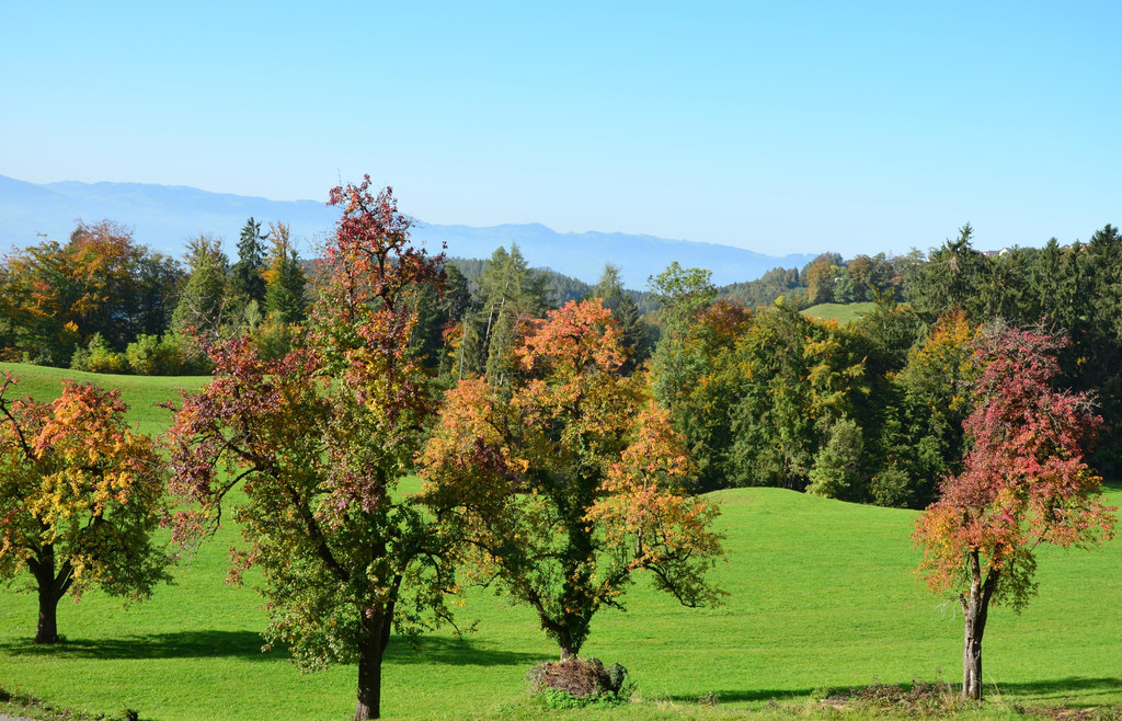 Natur 141019_25.JPG