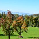 Natur 141019_25.JPG