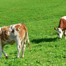 Natur 141019_26.JPG