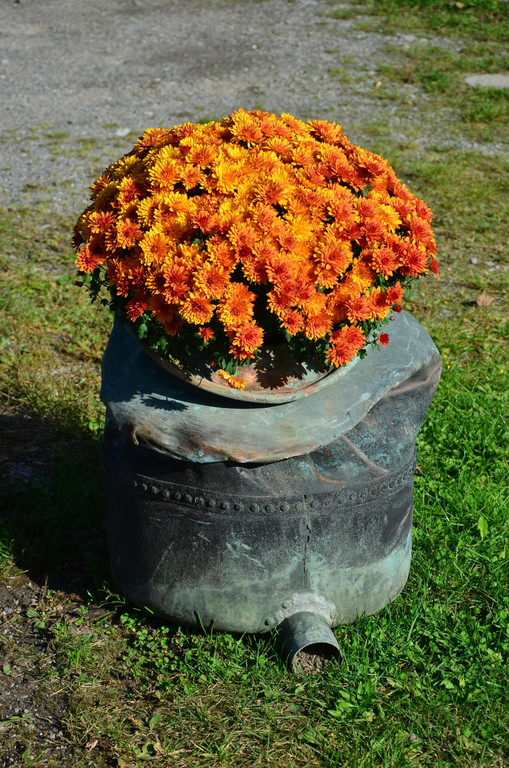 Natur 141019_27.JPG