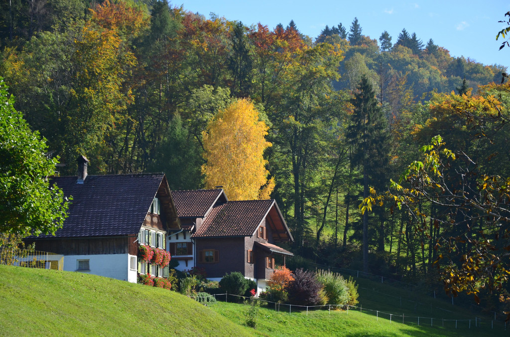Natur 141019_29.JPG