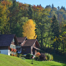 Natur 141019_29.JPG