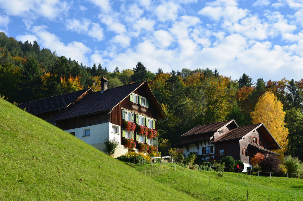 Natur 141019_30.JPG