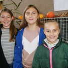 Kleintierausstellung in der Radlerhalle