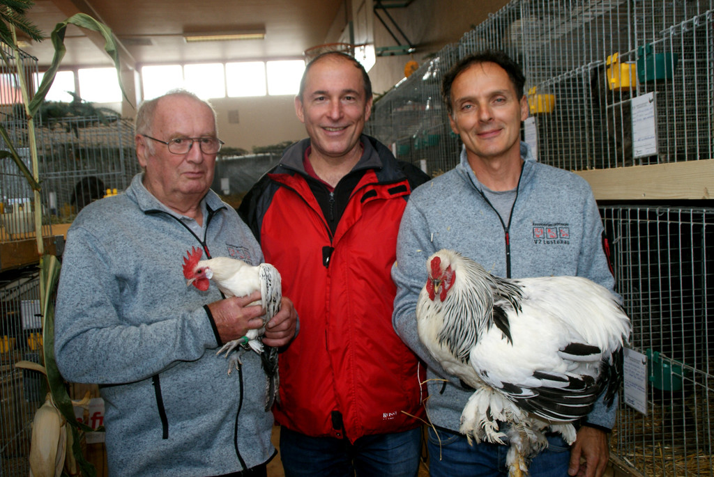 v_li_ Erich H__mmerle_ Dietmar Haller_ Dietmar Heidegger.JPG