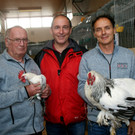 v_li_ Erich H__mmerle_ Dietmar Haller_ Dietmar Heidegger.JPG