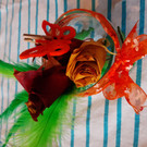 20191019_112949.jpg